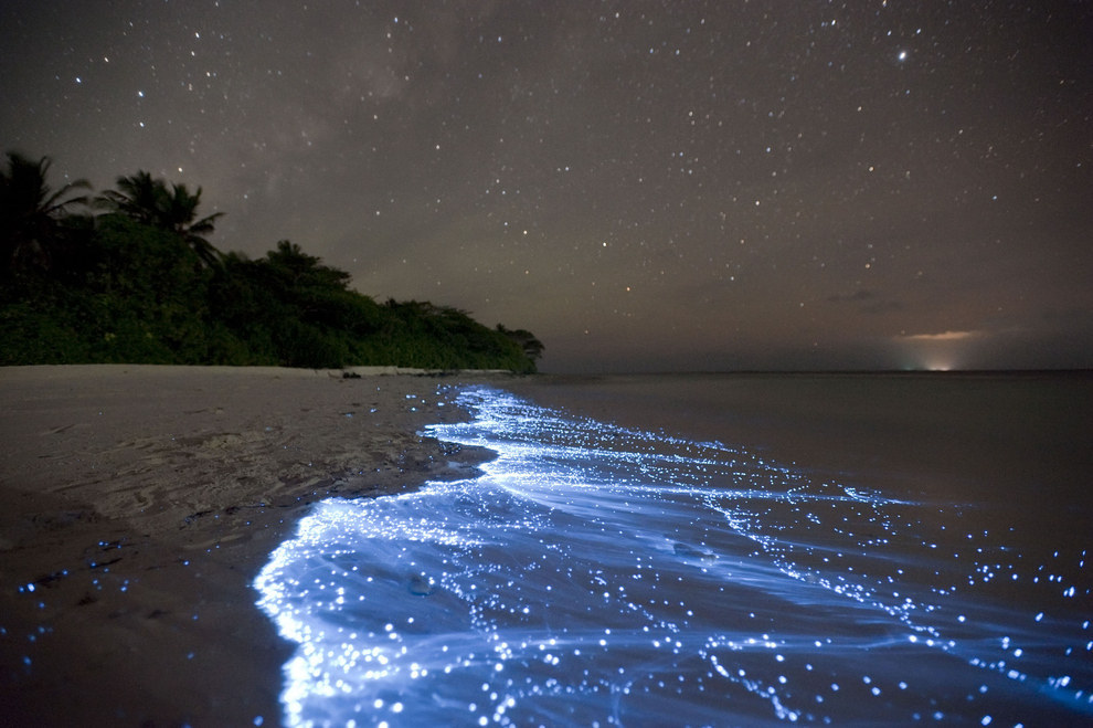88. Bioluminescent wave on Maldives Beach